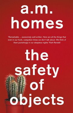 Safety Of Objects (eBook, ePUB) - Homes, A. M.