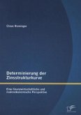 Determinierung der Zinsstrukturkurve: Eine finanzwirtschaftliche und makroökonomische Perspektive