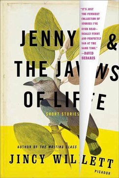 Jenny and the Jaws of Life (eBook, ePUB) - Willett, Jincy
