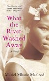 What the River Washed Away (eBook, ePUB)