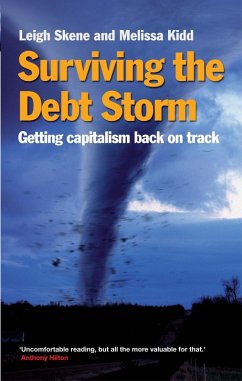 Cover Surviving the Debt Storm (eBook, ePUB)