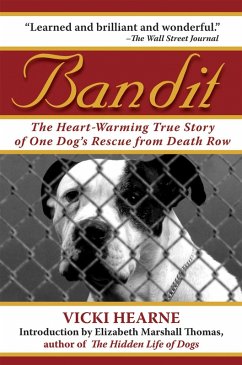 Cover Bandit (eBook, ePUB)