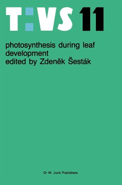 Photosynthesis during leaf development