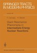 Giant Resonance Phenomena in... - Bild 1