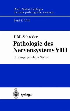 Pathologie des Nervensystems VIII - Schröder, J. M.