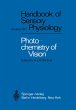 Photochemistry of Vision - Bild 1