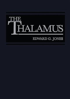 The Thalamus