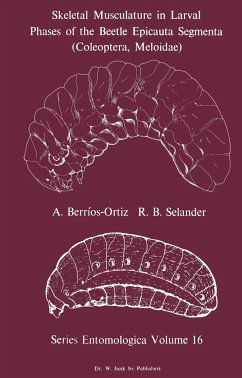 Skeletal Musculature in Larval Phases of the Beetle Epicauta Segmenta (Coleoptera, Meloidae) - Berrios-Ortiz, A.;Selander, R. B.
