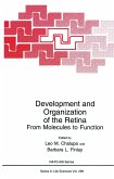 Development and Organization of the Retina Development and Organization of the Retina