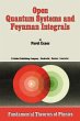 Open Quantum Systems and Feynman... - Bild 1