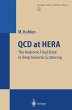 QCD at HERA - Bild 1