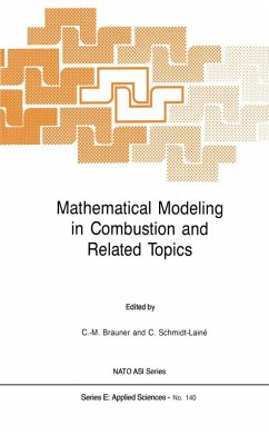 Mathematical Modeling in Combustion and Related Topics