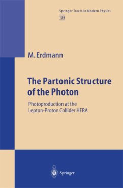 The Partonic Structure of the Photon - Erdmann, Martin