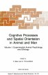 Cognitive Processes and Spatial... - Bild 1