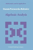 Algebraic Analysis