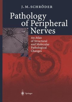 Pathology of Peripheral Nerves - Schröder, J.-M.