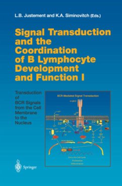 Signal Transduction and the Coordination of B Lymphocyte Development and Function I