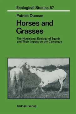 Horses and Grasses - Duncan, Patrick