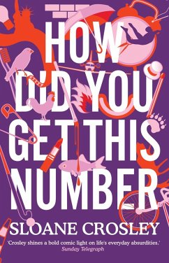 Cover How Did You Get This Number (eBook, ePUB)