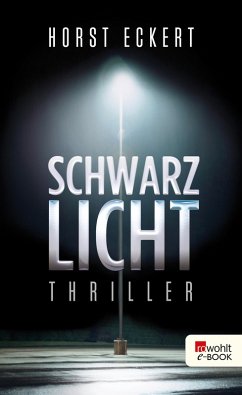 Schwarzlicht (eBook, ePUB) - Eckert, Horst