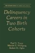 Delinquency Careers in Two Birth Cohorts - Bild 1