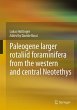 Paleogene larger rotaliid foraminifera... - Bild 1