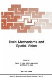 Brain Mechanisms and Spatial Vision