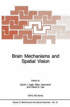 Brain Mechanisms and Spatial Vision