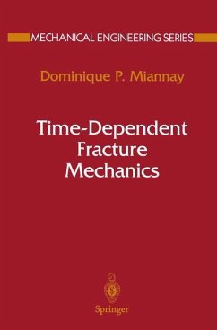 Time-Dependent Fracture Mechanics - Miannay, Dominique P.