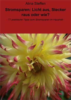 Stromsparen: Licht aus, Stecker raus oder wie? (eBook, ePUB) - Steffen, Alina