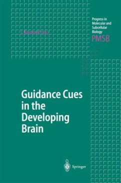 Guidance Cues in the Developing Brain