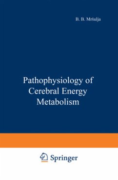 Pathophysiology of Cerebral Energy Metabolism - Mrsulja, B. B.