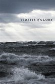 Tidbits of Glory (eBook, ePUB)