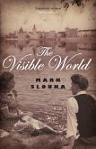 Visible World (eBook, ePUB)