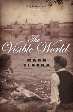 Visible World (eBook, ePUB) - Slouka, Mark