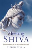 Meeting Shiva (eBook, ePUB)