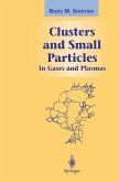 Clusters and Small Particles