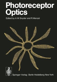 Photoreceptor Optics