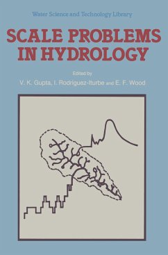 Scale Problems in Hydrology
