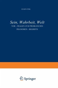 Sein, Wahrheit, Welt - Fink, S.