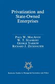 Privatization and State-Owned Enterprises