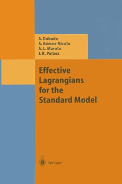 Effective Lagrangians for the Standard Model - Dobado, Antonio;Gomez-Nicola, Angel;Maroto, Antonio L.