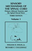 Sensory Mechanisms of the Spinal Cord Sensory Mechanisms of the Spinal Cord