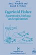 Cyprinid Fishes - Bild 1