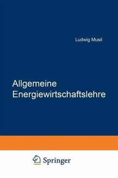 Allgemeine Energiewirtschaftslehre - Musil, Ludwig