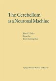 The Cerebellum as a Neuronal Machine