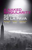 A Naked Singularity (eBook, ePUB) A Naked Singularity (eBook, ePUB)