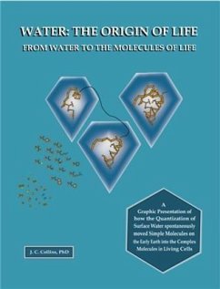 Water: The Origin of Life from Water to the Molecules of Life (eBook, ePUB) Cover Water: The Origin of Life from Water to the Molecules of Life (eBook, ePUB)