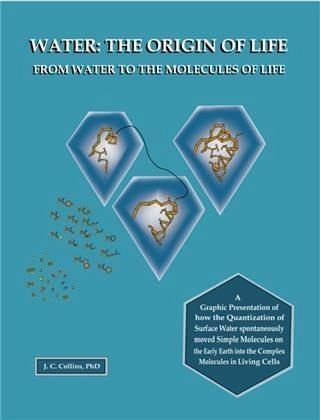 Water: The Origin of Life from Water to the Molecules of Life (eBook, ePUB) Water: The Origin of Life from Water to the Molecules of Life (eBook, ePUB)