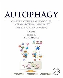 Cover Autophagy: Cancer, Other Pathologies, Inflammation, Immunity, Infection, and Aging (eBook, ePUB)